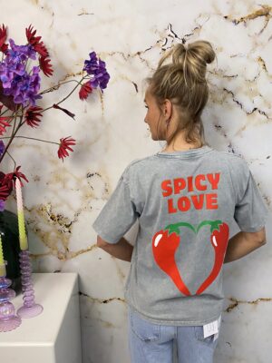 Tshirt Spice Love Grey